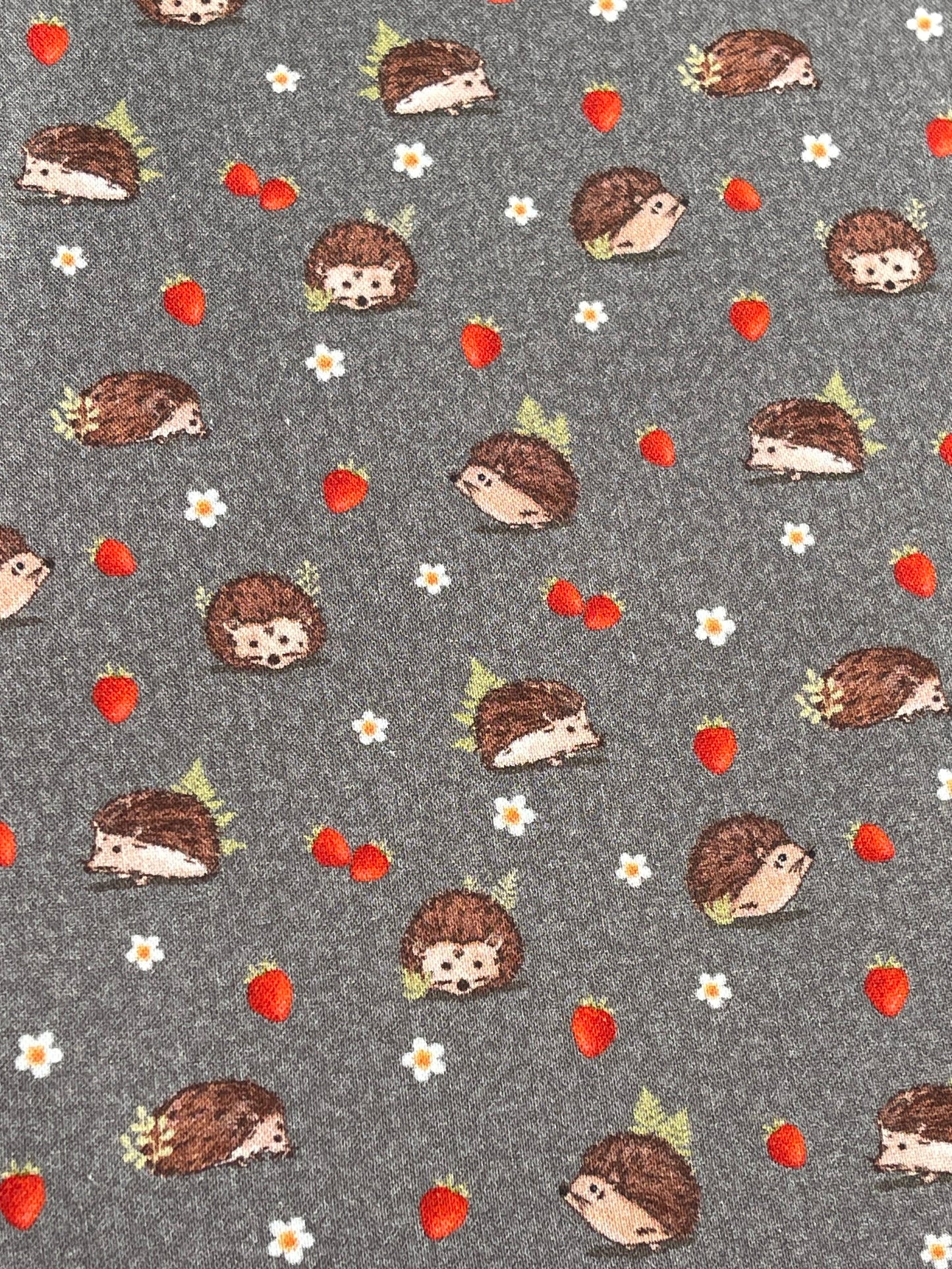 Strawberry Hedgehog Fabric Breakaway Lanyard