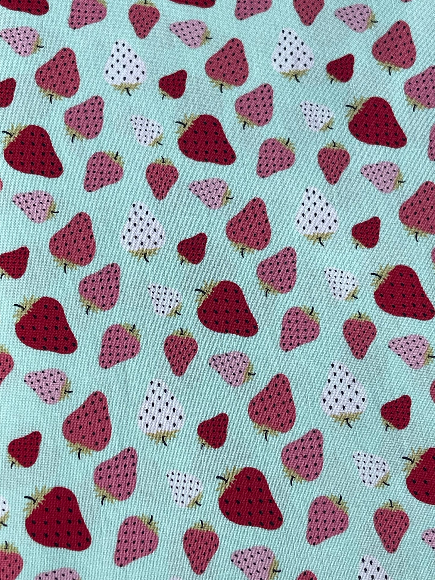 Strawberries on mint fabric Breakaway Lanyard